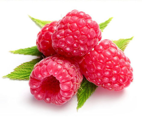 Высококонцентрированный вкус кальяна для вкуса кальяна E-Liquid USP Grade Концентрированные ароматизаторы, используемые для E-Liquid