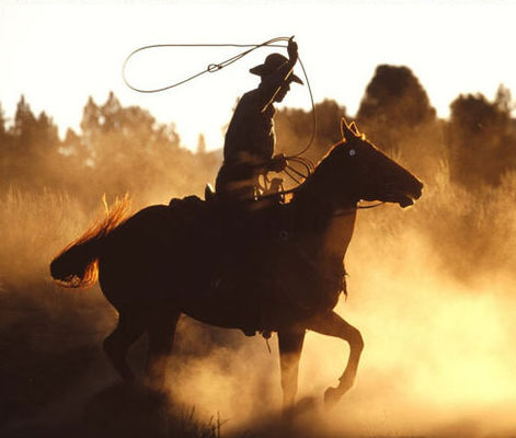 Аромат фруктовой мяты Концентрированный жидкий парный аромат Эссенция высококачественный аромат на основе Pg/Vg