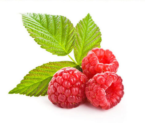 Конкурентоспособные цены на фруктовые вкусы для вейп-жидкостей и электронных сигарет, кальянов, одноразовых стеклянных трубок, новинки, продукты питания