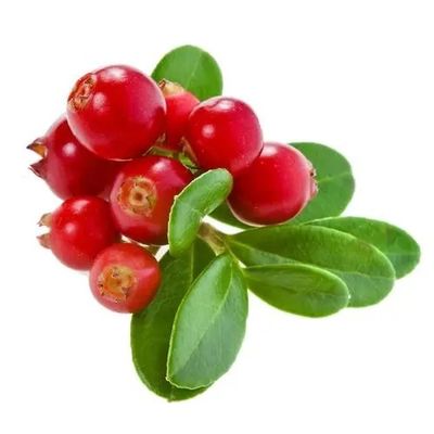 лингонберри;хуклберри;горная клюквенная;ковберри;vape e-liquid e сок аромат концентрат ароматный аромат