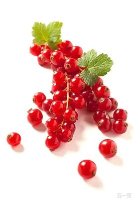 брусника;клюква;Вкус жидкости для электронных сигарет Bilberry Vape, концентрат ароматизатора