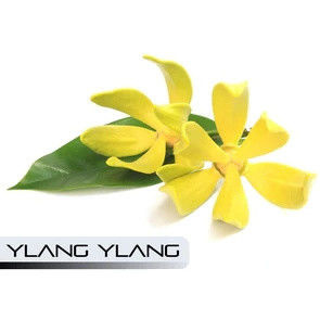 Слэм Берри.Чудесный Червь.Большой Железнодорожник.Глава Бэнгин Буги.