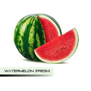 Слэм Берри.Чудесный Червь.Большой Железнодорожник.Глава Бэнгин Буги.