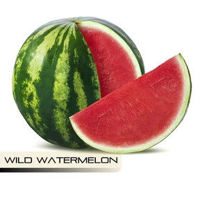 Слэм Берри.Чудесный Червь.Большой Железнодорожник.Глава Бэнгин Буги.