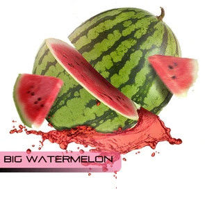 Слэм Берри.Чудесный Червь.Большой Железнодорожник.Глава Бэнгин Буги.