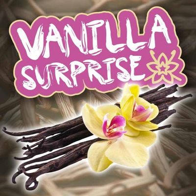 Популярный фруктовый вкус Эссенция масла авокадо для жидкости для вейпа CigNew Taste Concentrates Vapor Juice Яблочная карамель