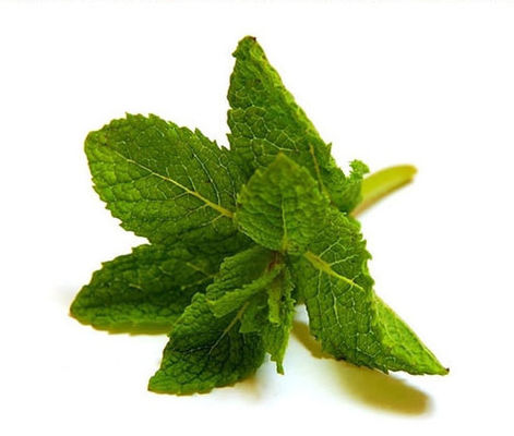 E жидкий аромат высококонцентрированный аромат ментол мяты табачные ароматы вейп 125 мл Образцы