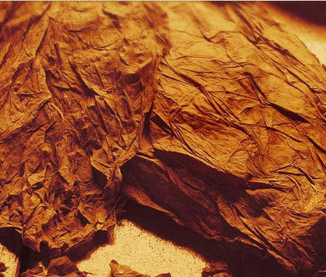 Концентрированный мятный вкус E-жидкость USP Grade Flavors Жидкость Электронная сигарета Саудовская Аравия