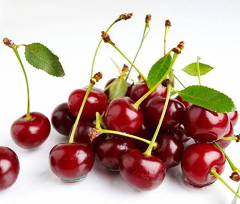 Горячие продажи для высококонцентрированного аромата зеленой фасоли для электронных жидкостей, ментоловый вкус льда для электронных жидкостей