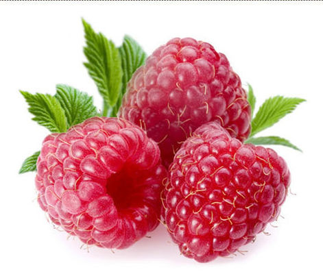 Концентрированный табачный вкус. Высококонцентрированная жидкость для электронных сигарет / вейпов Coolmist Menthol с PG/VG в ней. Поставка с завода.