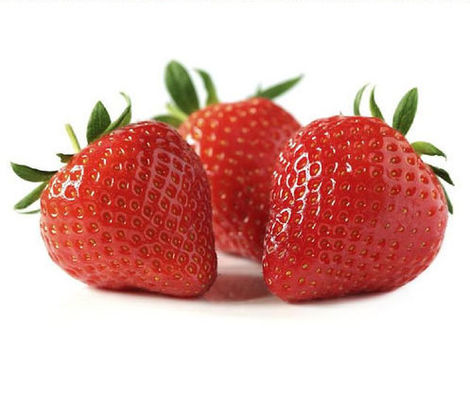 Высококонцентрированный Фруктовый Табачный Ментовый Аромат Охлаждающий Агент для Вейпного E-Liquid Аромат Высококонцентрированный Фруктовый Табачный Ментовый