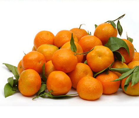 Конкурентоспособные цены на фруктовые вкусы для вейп-жидкостей и электронных сигарет, кальянов, одноразовых стеклянных трубок, новинки, продукты питания