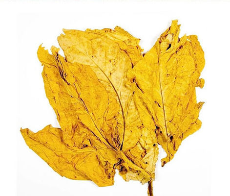 Конкурентоспособные цены на фруктовые вкусы для вейп-жидкостей и электронных сигарет, кальянов, одноразовых стеклянных трубок, новинки, продукты питания