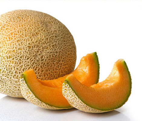 Концентрат табачного аромата Alfahker Apple для кальяна: Яблочный вкус: Красочные фрукты: Свежие смешанные фрукты