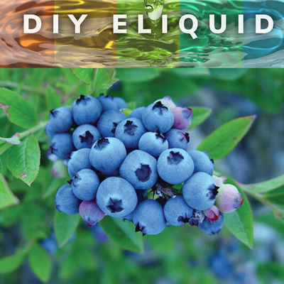 Ароматы черники граната для E жидкость сильная концентрированная ароматизация для производства E сок